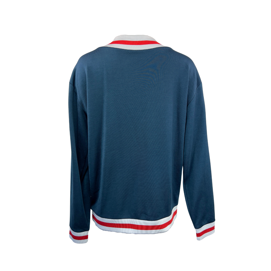 Aritzia Petrol Collegiate Vneck Sweater