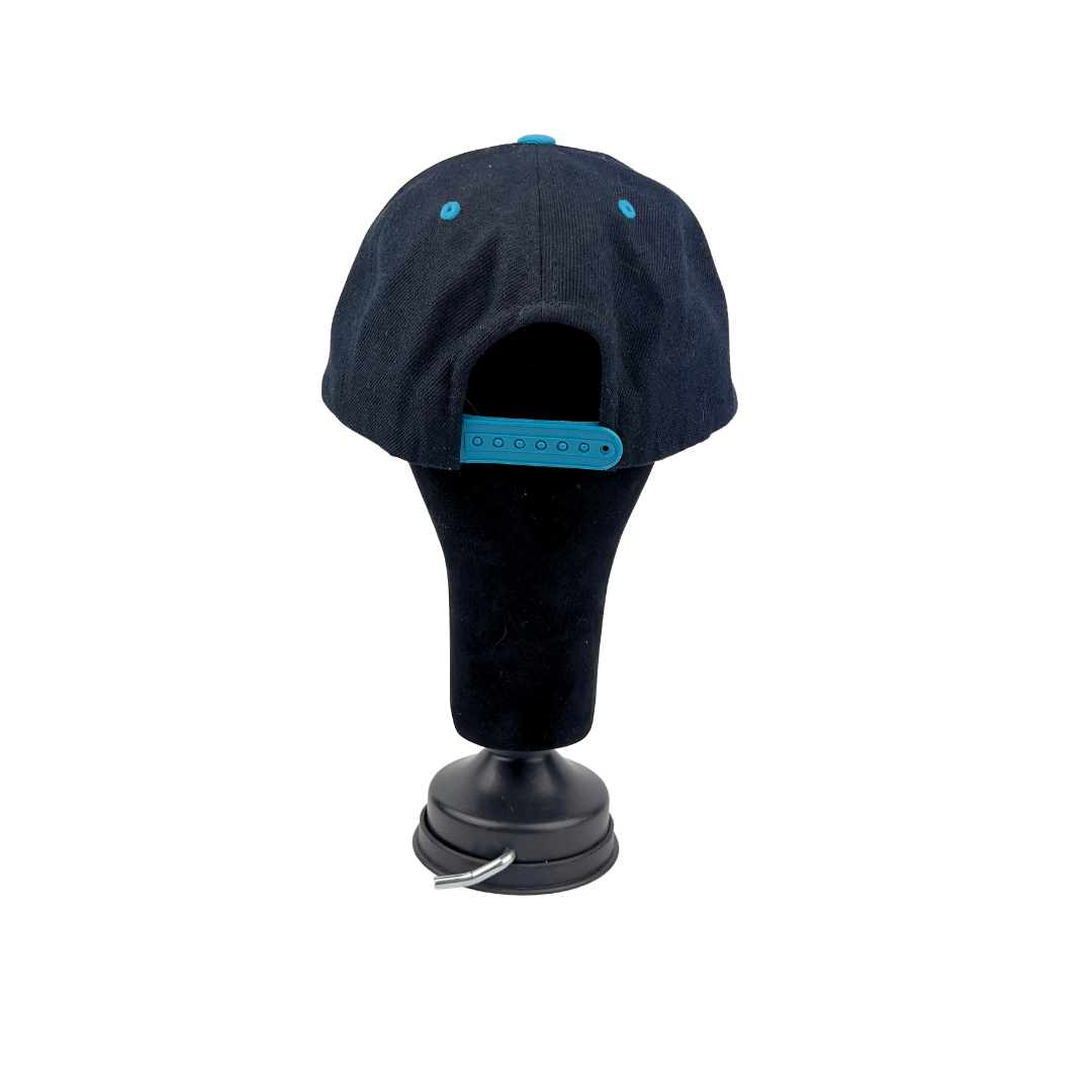 Cool Embroidered Snapback