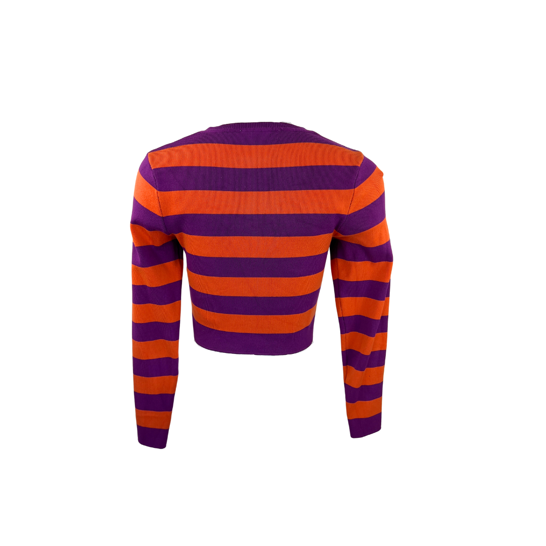 Zara Cropped Long Sleeve Orange and Purple Stripe Top